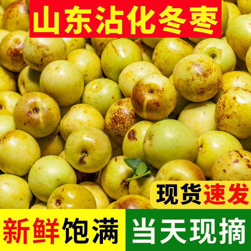 R【 5斤装 】山东沾化冬枣新鲜枣子青枣产地直当季水果-3
