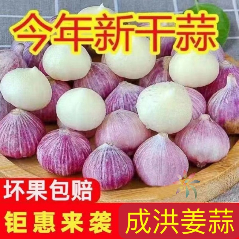 农家紫皮蒜独头蒜紫皮独蒜头蒜头新鲜干蒜紫皮大蒜/0lb蔬菜组合