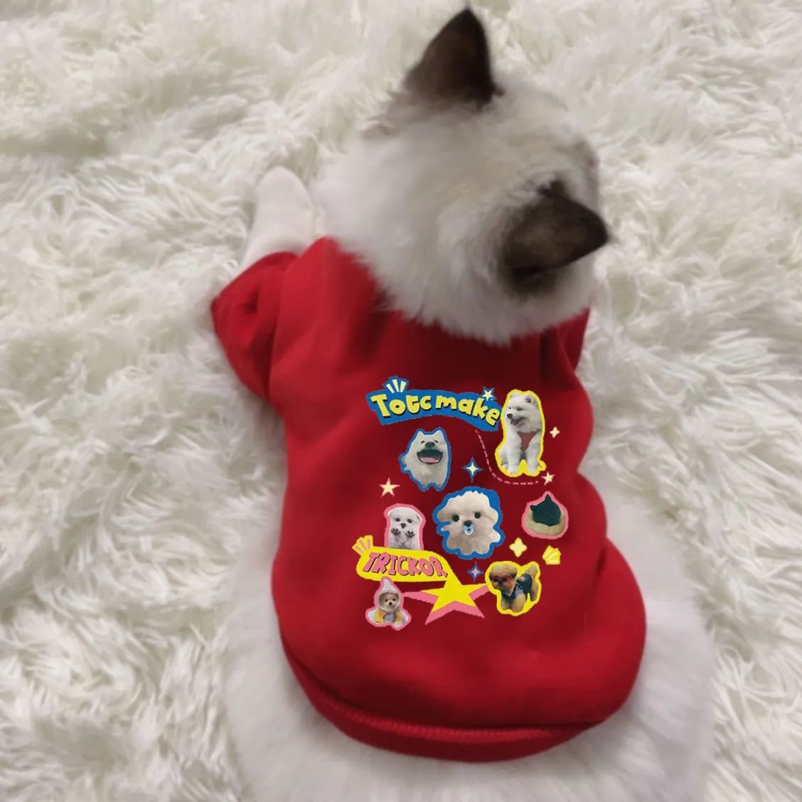 新款狗狗衣服猫咪衣服春秋冬季泰迪博美比熊小型犬猫小狗宠物衣服