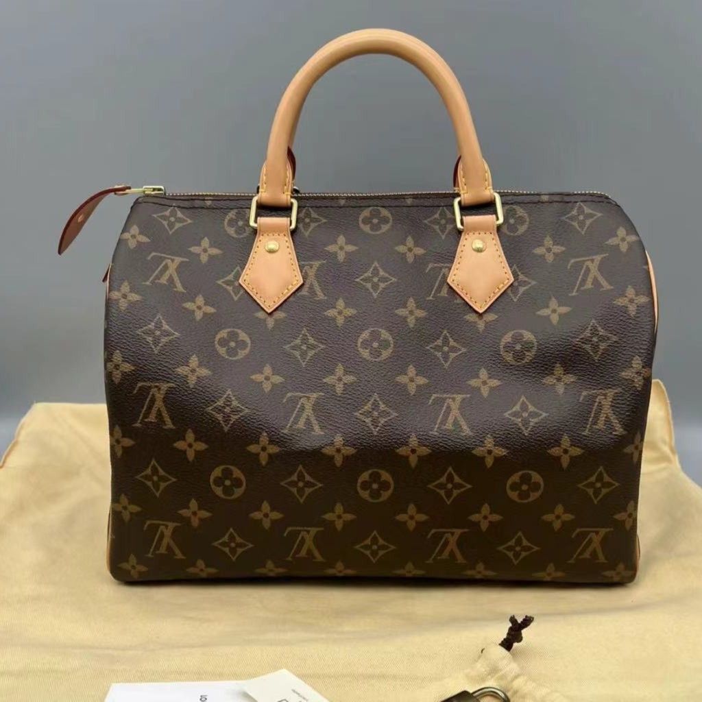 95新  Louis Vuitton/路易威登/手提包/AG586