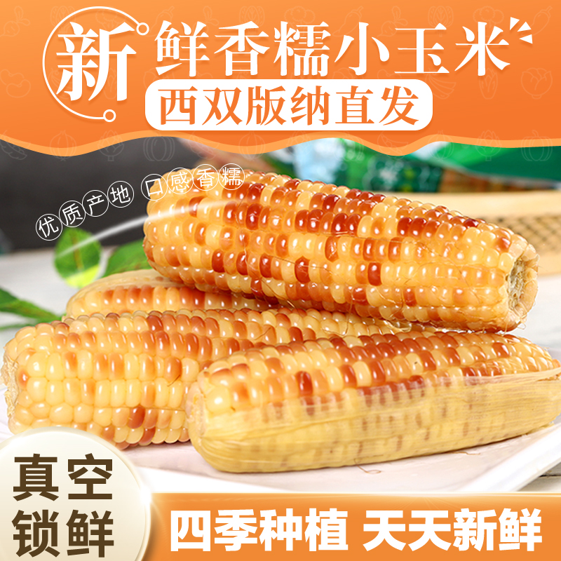【秋石精选】西双版纳香糯小玉米真空包装新鲜即食代餐 3斤/5斤/9