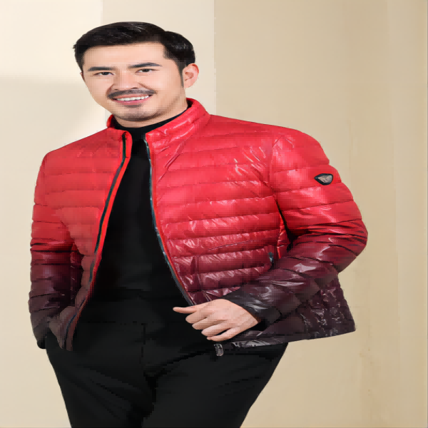 2023新款男式男士羽绒服立领轻薄款短款