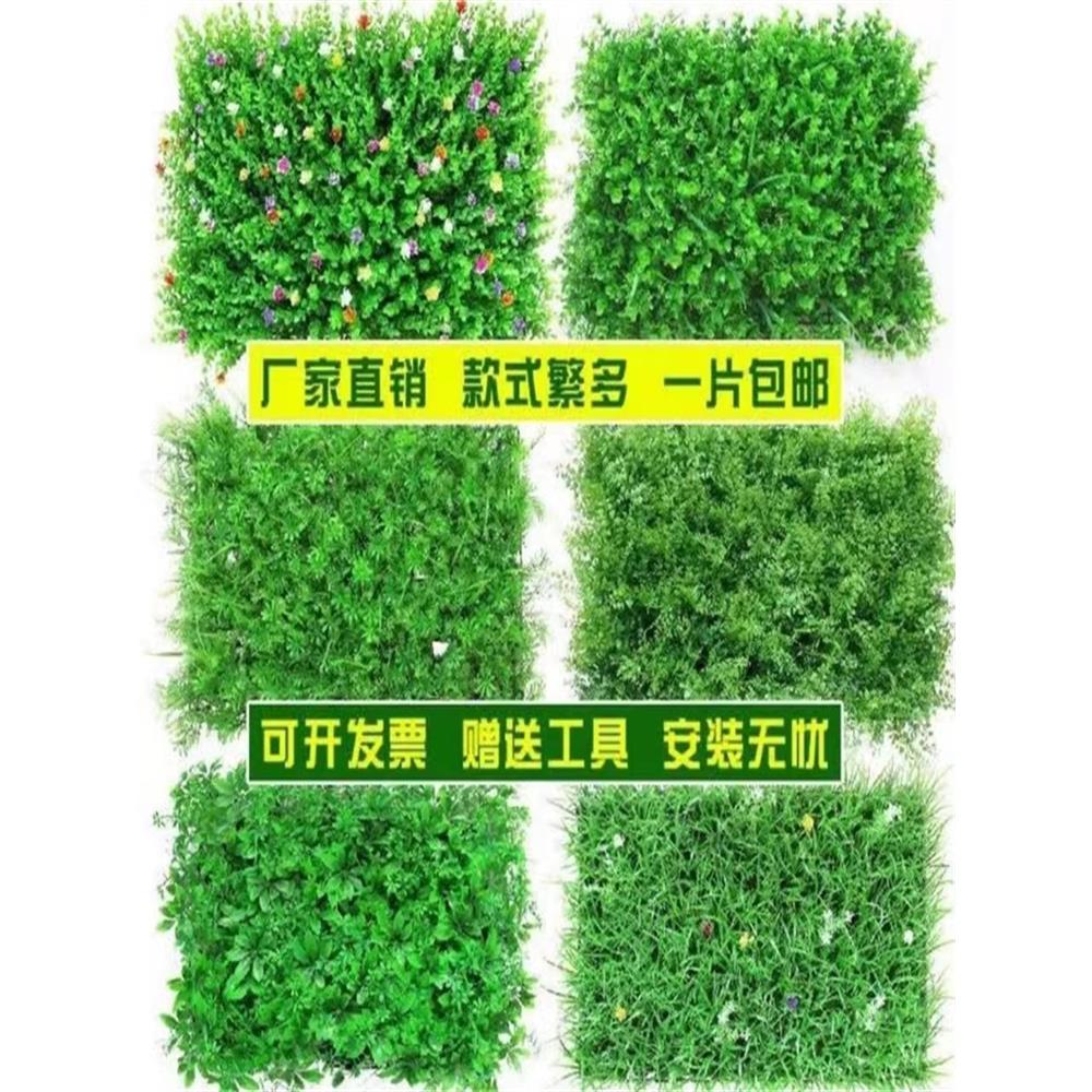 仿真植物草坪装饰人造绿植墙草皮墙面装饰花墙门头塑料假花背景墙