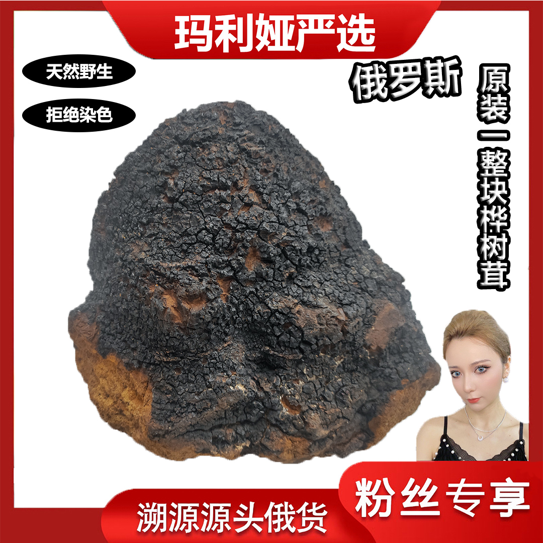 【玛莉娅专属严选】俄罗斯桦树茸黑金未加工原块