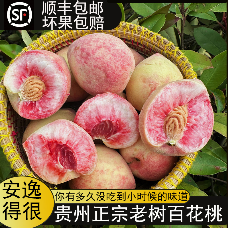 【顺丰百花桃血桃】贵州正宗头茬老树百花桃血桃结桃毛桃子新鲜现摘