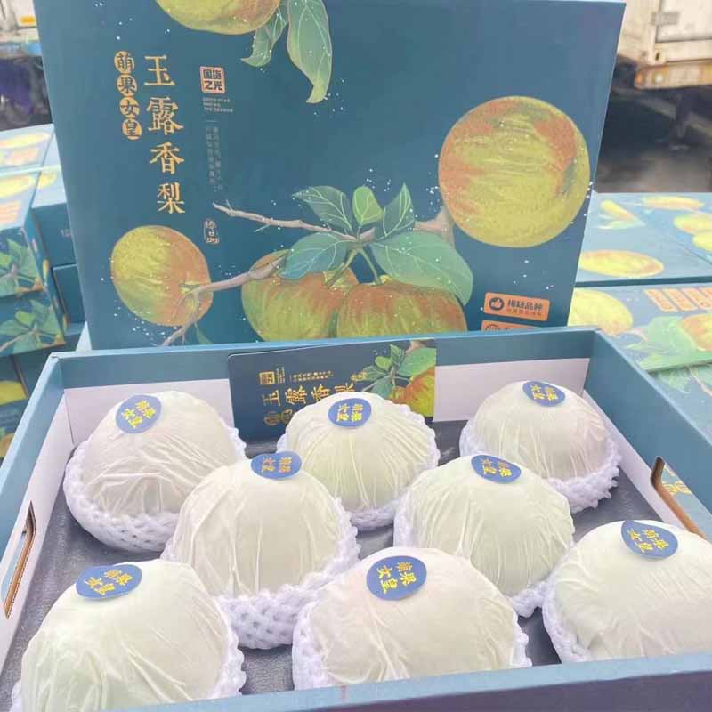 顺丰包邮当季萌果教主玉露香梨当季新鲜水果6斤原箱礼盒8-11头