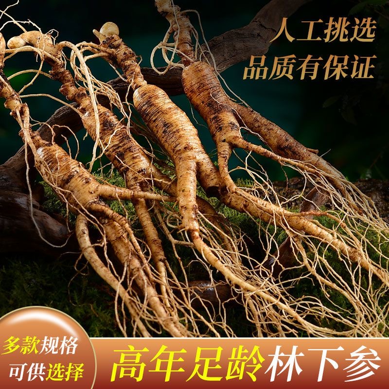 东北长白山人参新鲜人参打包款