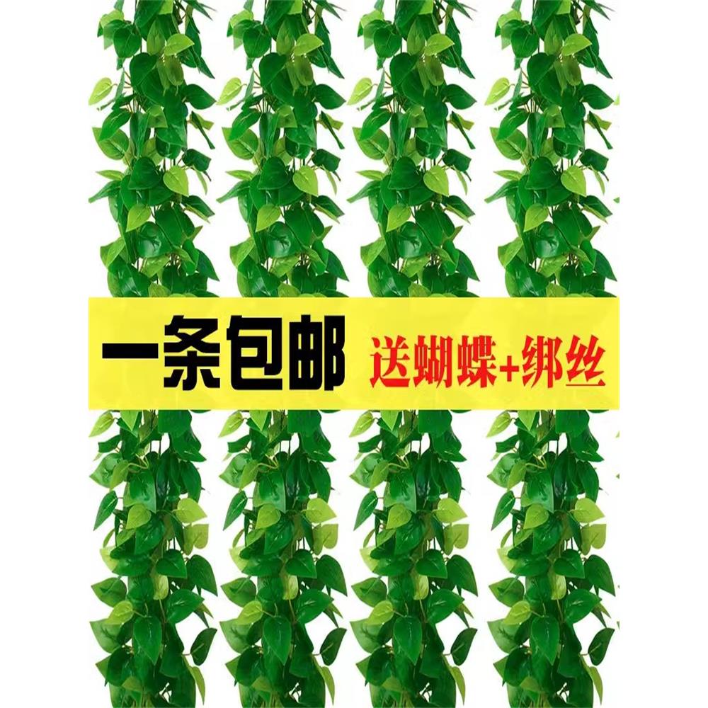 仿真藤条假花装饰管道藤蔓绿叶绿植天花板吊顶绿萝树叶遮挡葡萄叶
