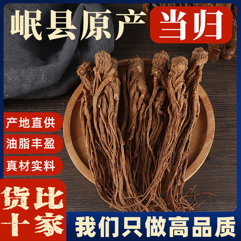 岷县当归新鲜无硫特级正宗当归个特级整条整根煲汤搭配黄芪党参