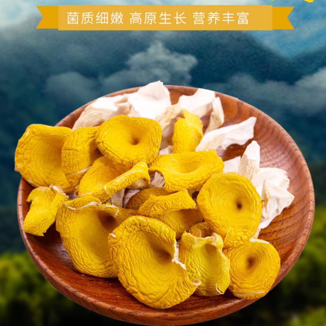 云南土特产、鸡油菌、初级农产品250g/500g