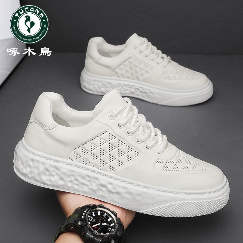 【正品】啄木鸟男鞋新款透气潮流百搭小白鞋子男款防滑耐磨休闲板鞋