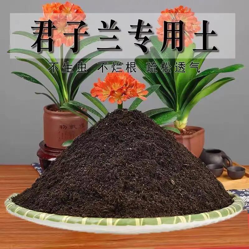 通用适用土君子兰营养土疏松椰糠土绿植土养花营养土君子兰专用土