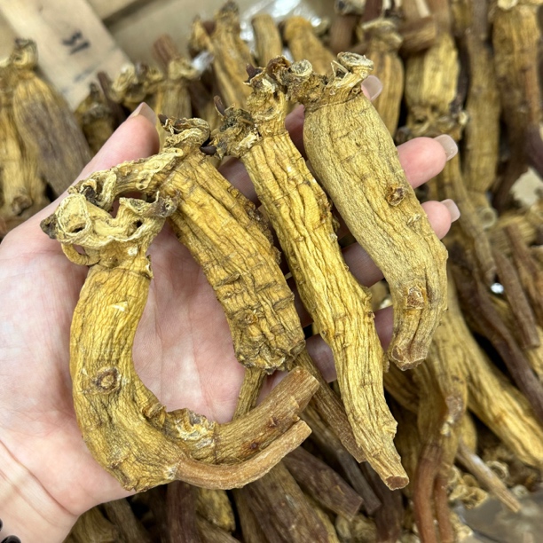（福利）原条大高丽参250g/500g高丽参