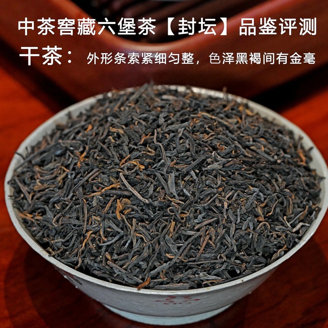 （500克分装）金奖产品【中茶新厂五周年封坛茶】 2019年陈化特级