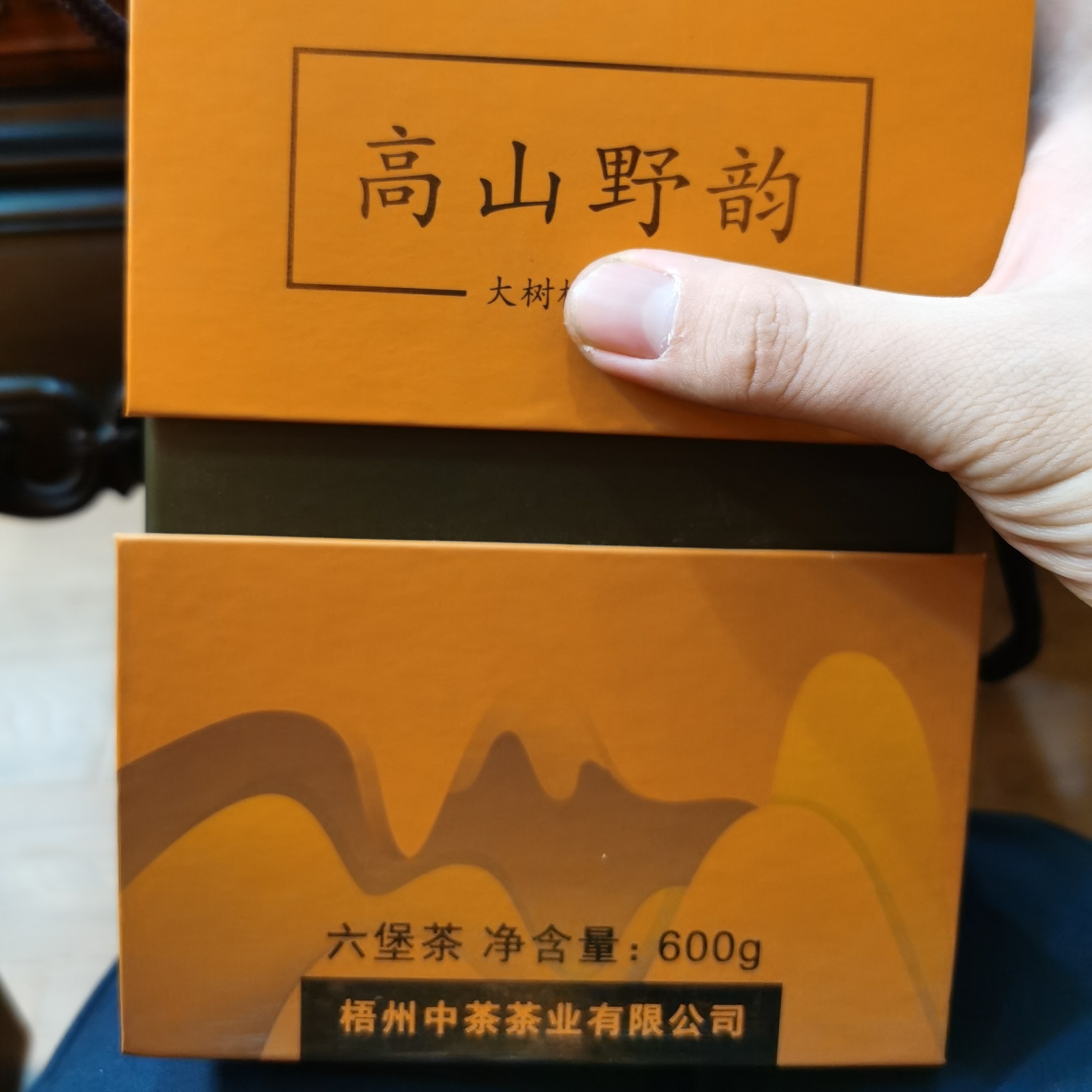中茶六堡茶高山野韵9137 600克