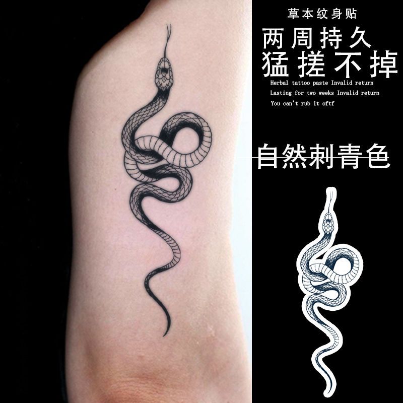 金环蛇 手臂纹身贴草本半永久霸气ins风花臂锁骨辣妹甜酷防水
