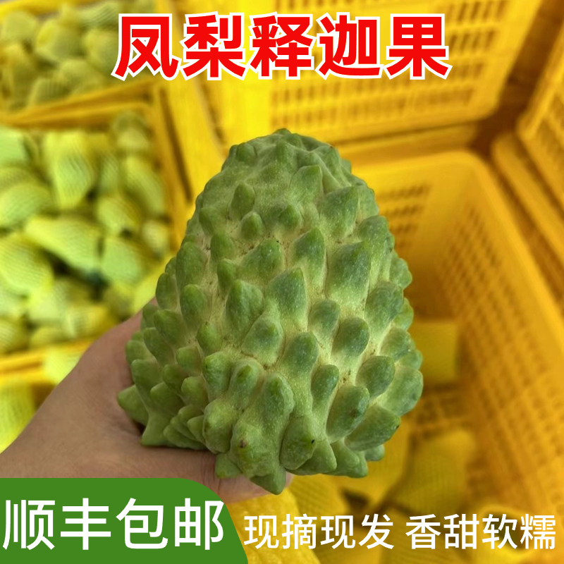 广西凤梨释迦2花皮黑皮果凤梨释迦新鲜水果1/3/5斤香甜刺果番荔枝