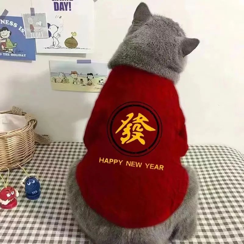 新款提花宠物猫咪连体春秋款防掉毛小香风多巴胺无毛猫衣服秋季衣
