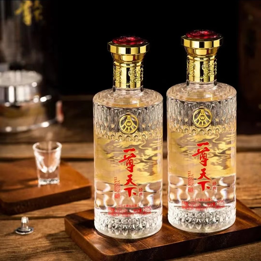 一尊天下宜宾五粮液股份出品浓香型白酒经典绵柔2瓶装52度500ml