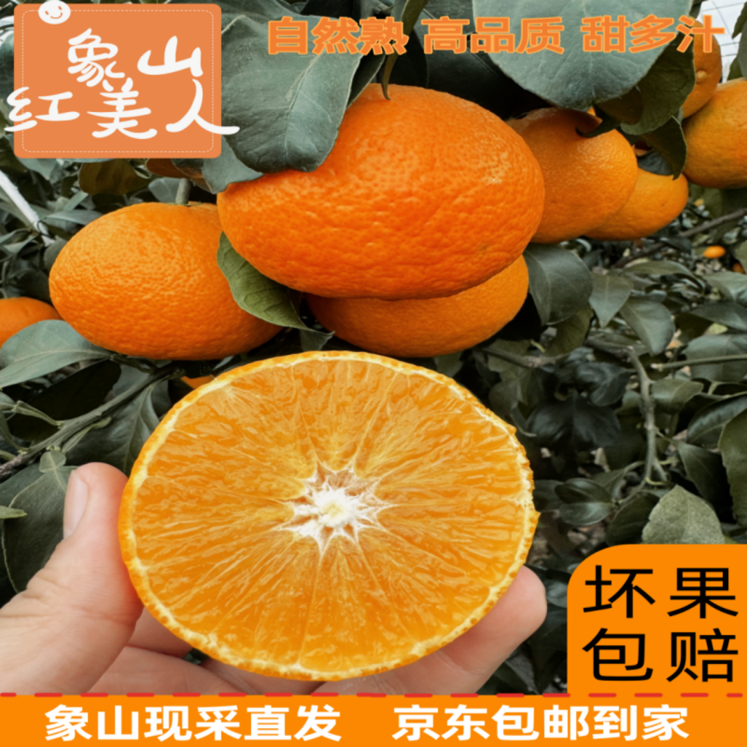 【下单现摘】象山红美人柑橘产地直发新鲜红美人甘甜多汁无籽无渣