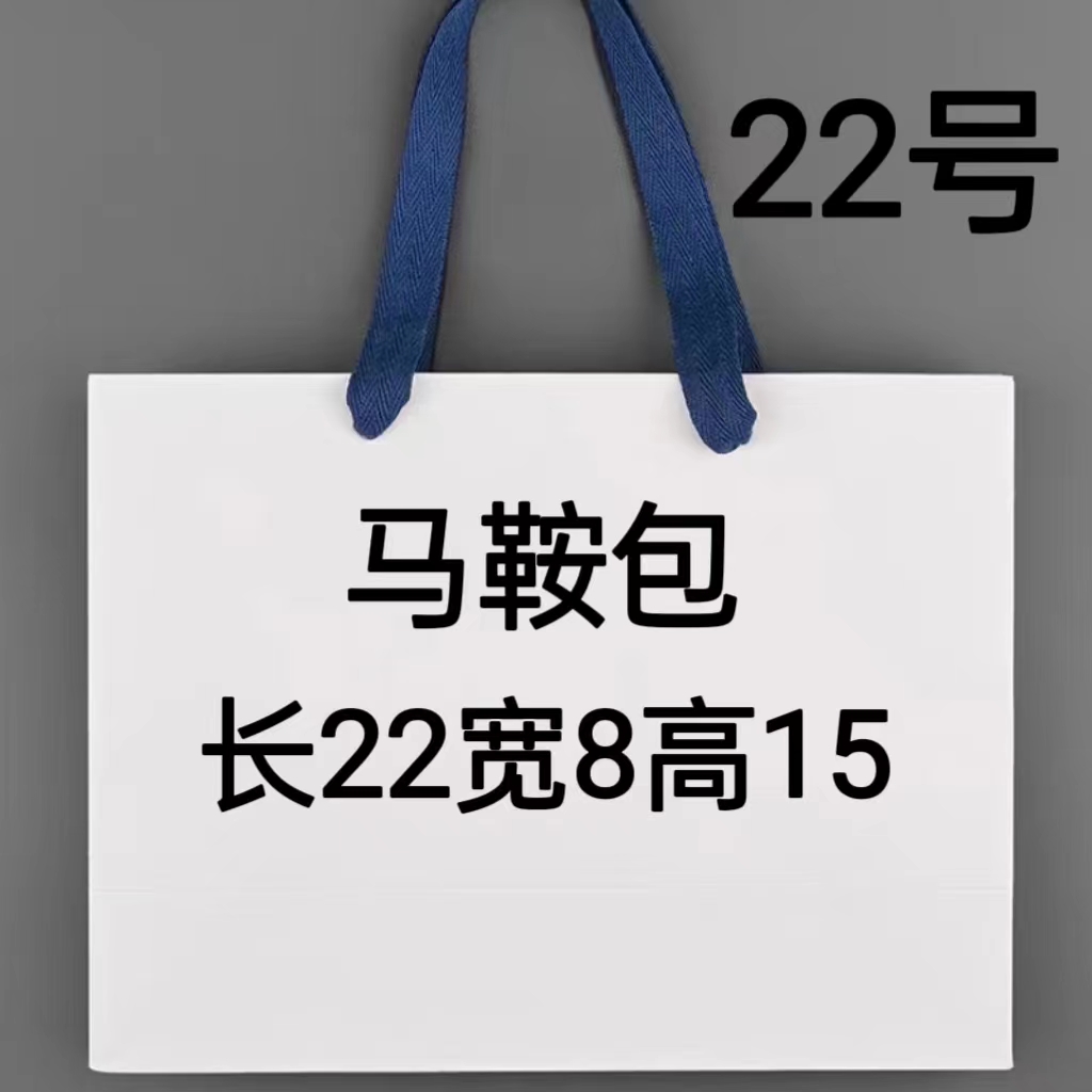 XX  22号新款轻奢马鞍包5163-6#