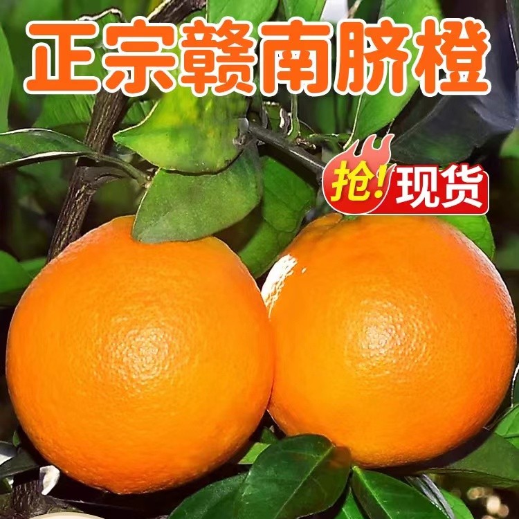 正宗江西赣南脐橙新鲜橙子当季水果斤赣州冰糖甜橙香手剥果冻橙甜