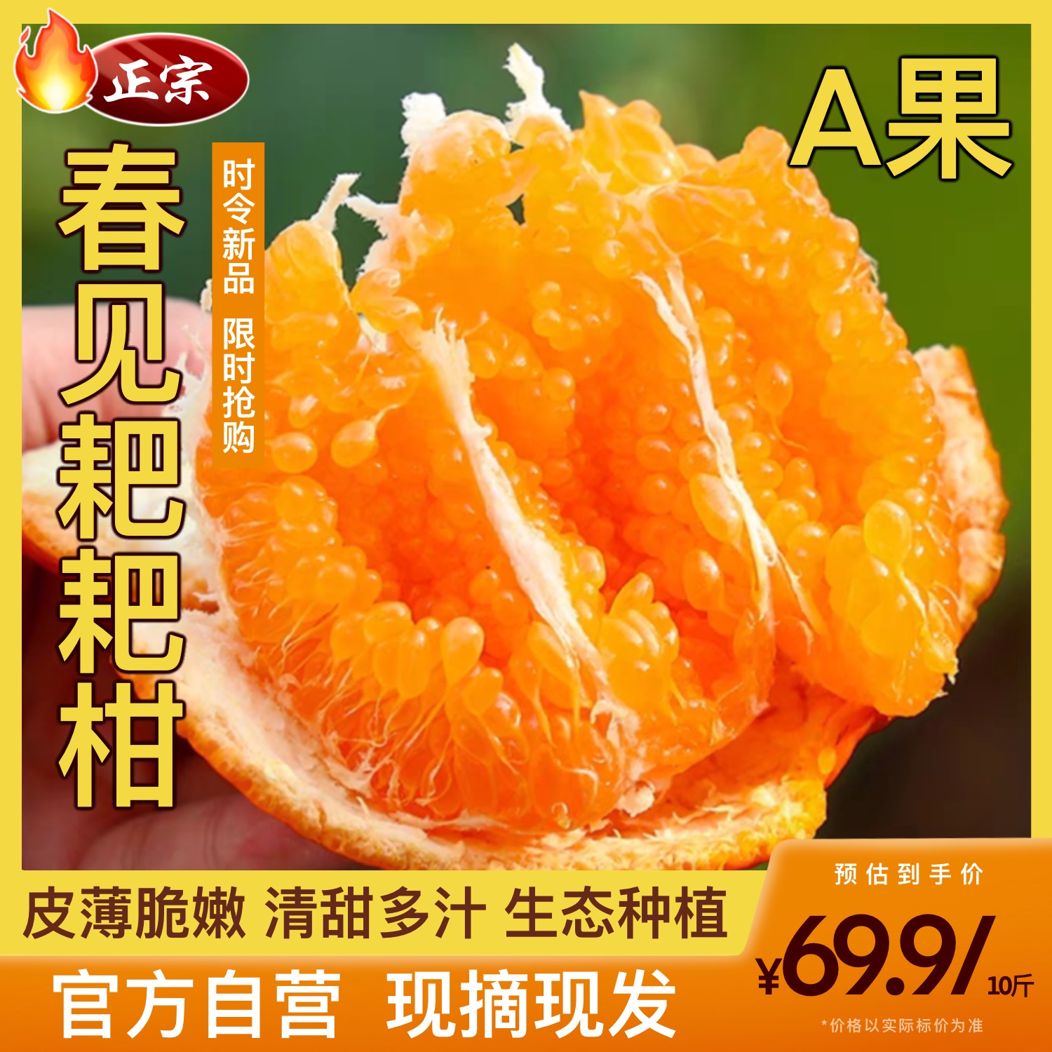 四川特级春见耙耙柑橘子当季水果整箱新鲜细嫩多汁皮薄10斤A果