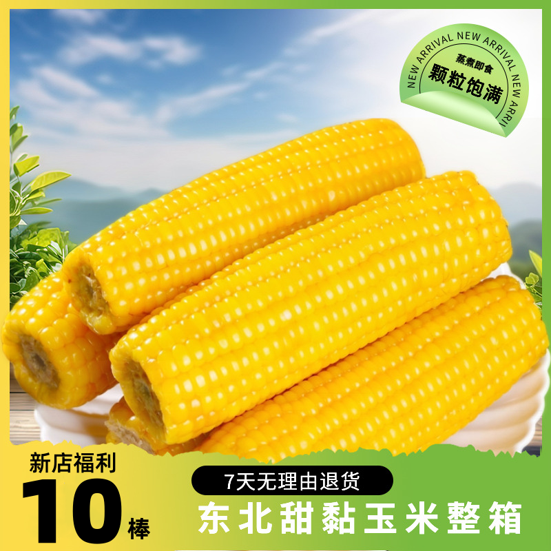 【试吃2根】东北黄糯玉米整箱10棒新鲜甜黏玉米低脂代餐真空包装