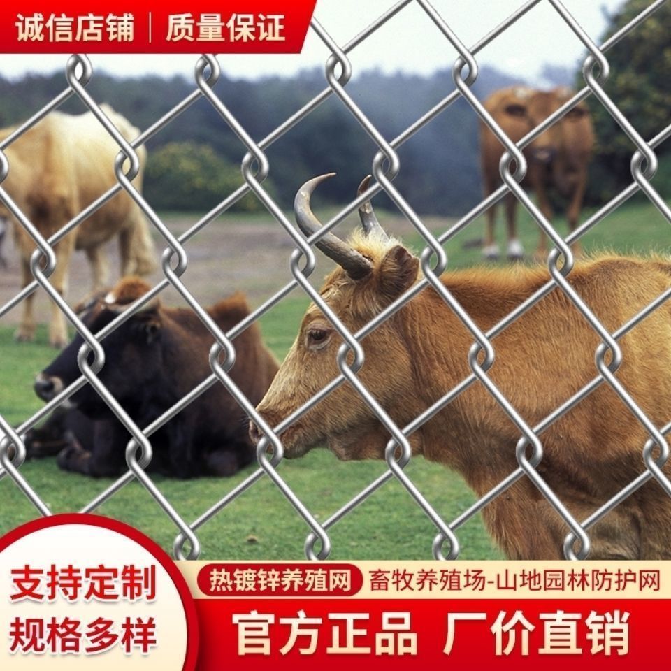 热镀锌铁丝网围栏网养鸡狗牛羊养殖网勾花网钢丝网户外防锈防护网