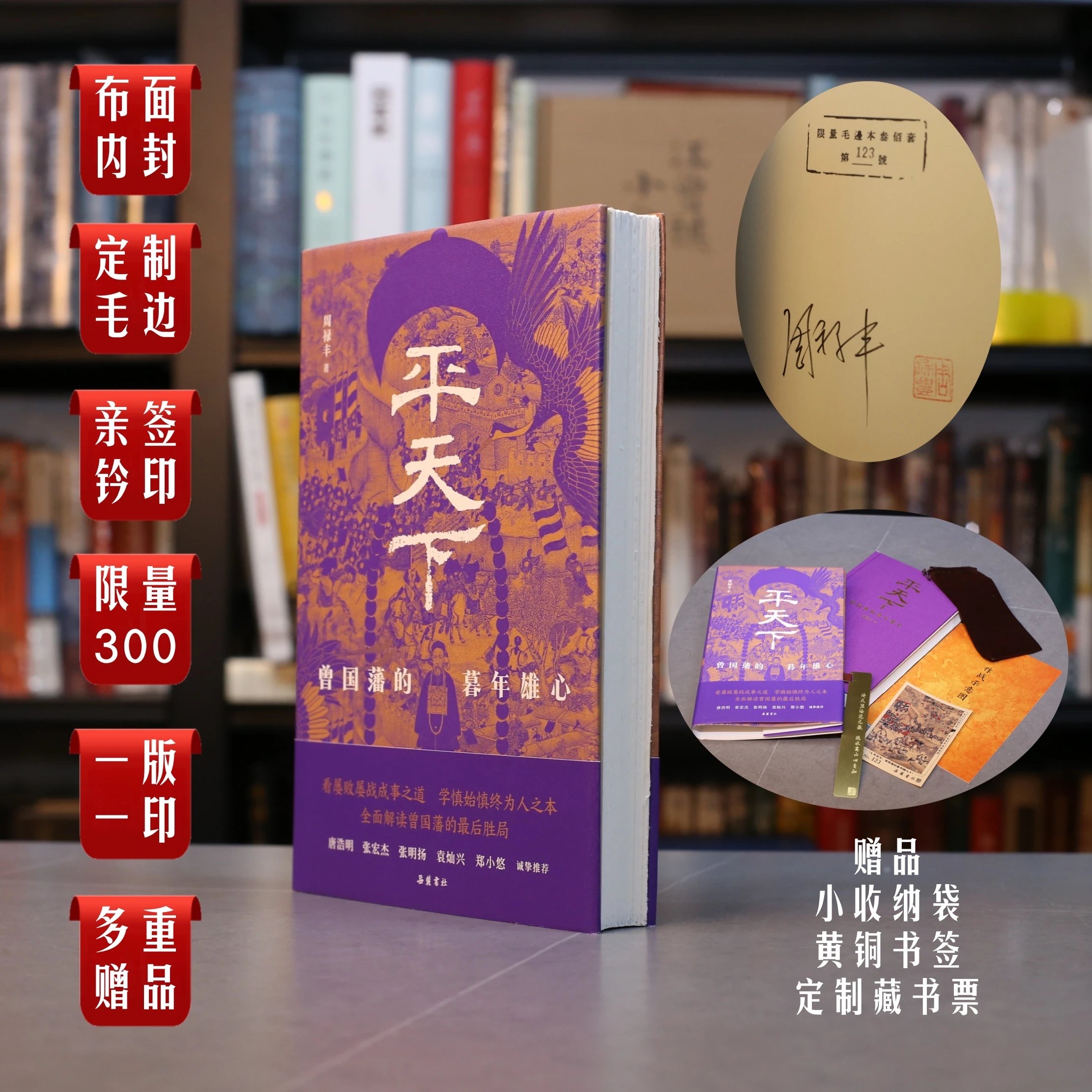 【定制版】平天下：曾国藩的暮年雄心 岳麓书社