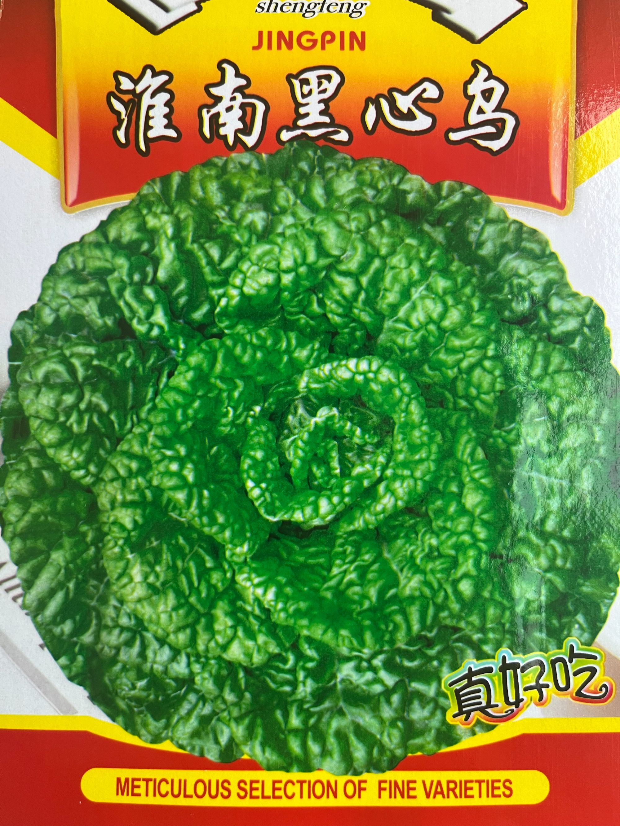 【满5包包邮】黑心乌塌菜种子白菜黄心乌冬季籽黑菜蔬菜种籽孑菜籽