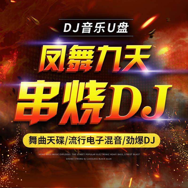 车载U盘荷东猛士野狼王DJ冰河时代凤舞九天dj舞曲无损音质USB优盘