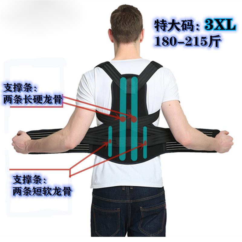 郁金香胖子大号贝背佳纠正驼背神器男士加大码成人驼背矫正器女XL