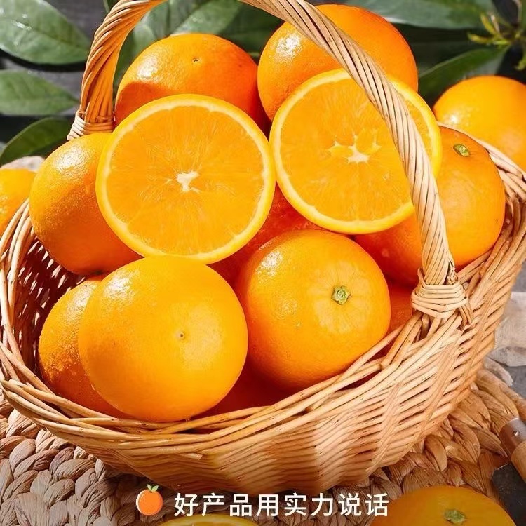 文姐专属正宗原产地赣南脐橙带箱5-20斤新鲜水果现摘现发