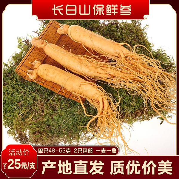 吉林长白山保鲜真空泡酒人参 单只48-52克  2支包邮食用泡水泡酒