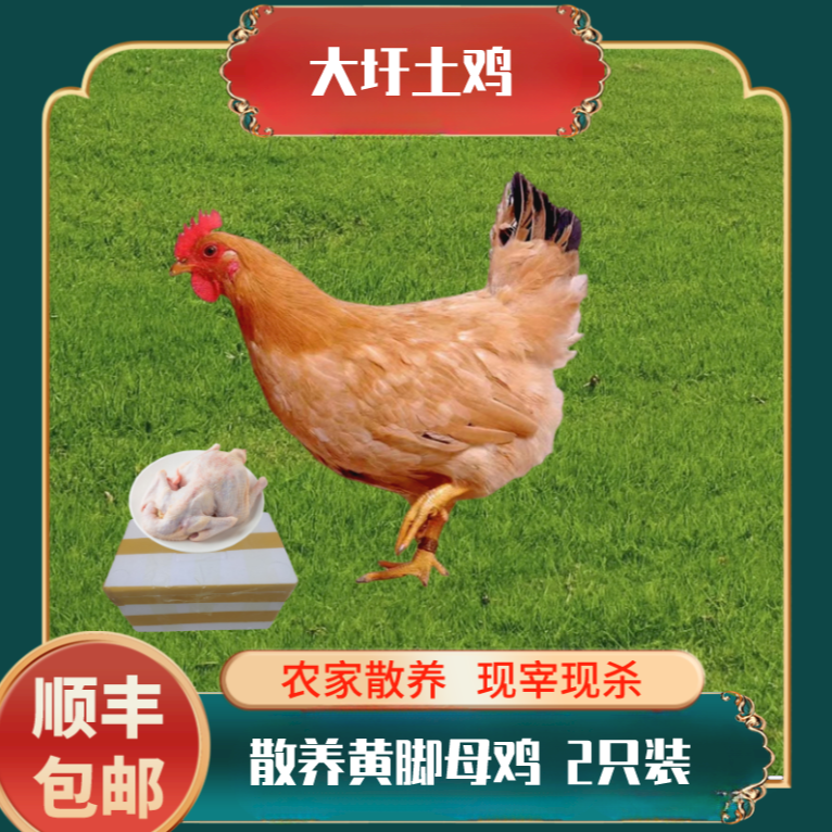 购锦农家散养纯粮食喂养跑地鸡散养土鸡 拍1发2（两只净重4斤）