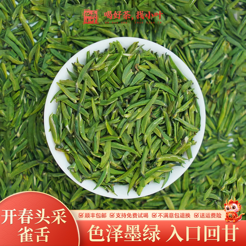 2024头春头采新茶手工雀舌新鲜嫩芽鲜爽回甘浓香型精品高山绿茶