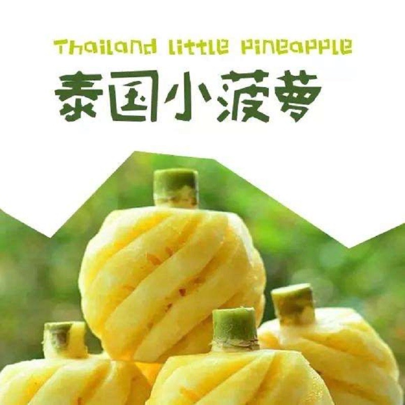 【绿野大叔】泰国CZ小菠萝 2斤装/3斤装（每袋3~6颗）-顺丰包邮