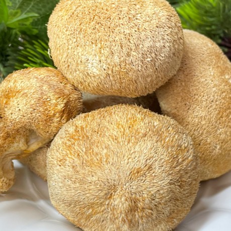 和泰隆 精选猴头菇汤料1~500克