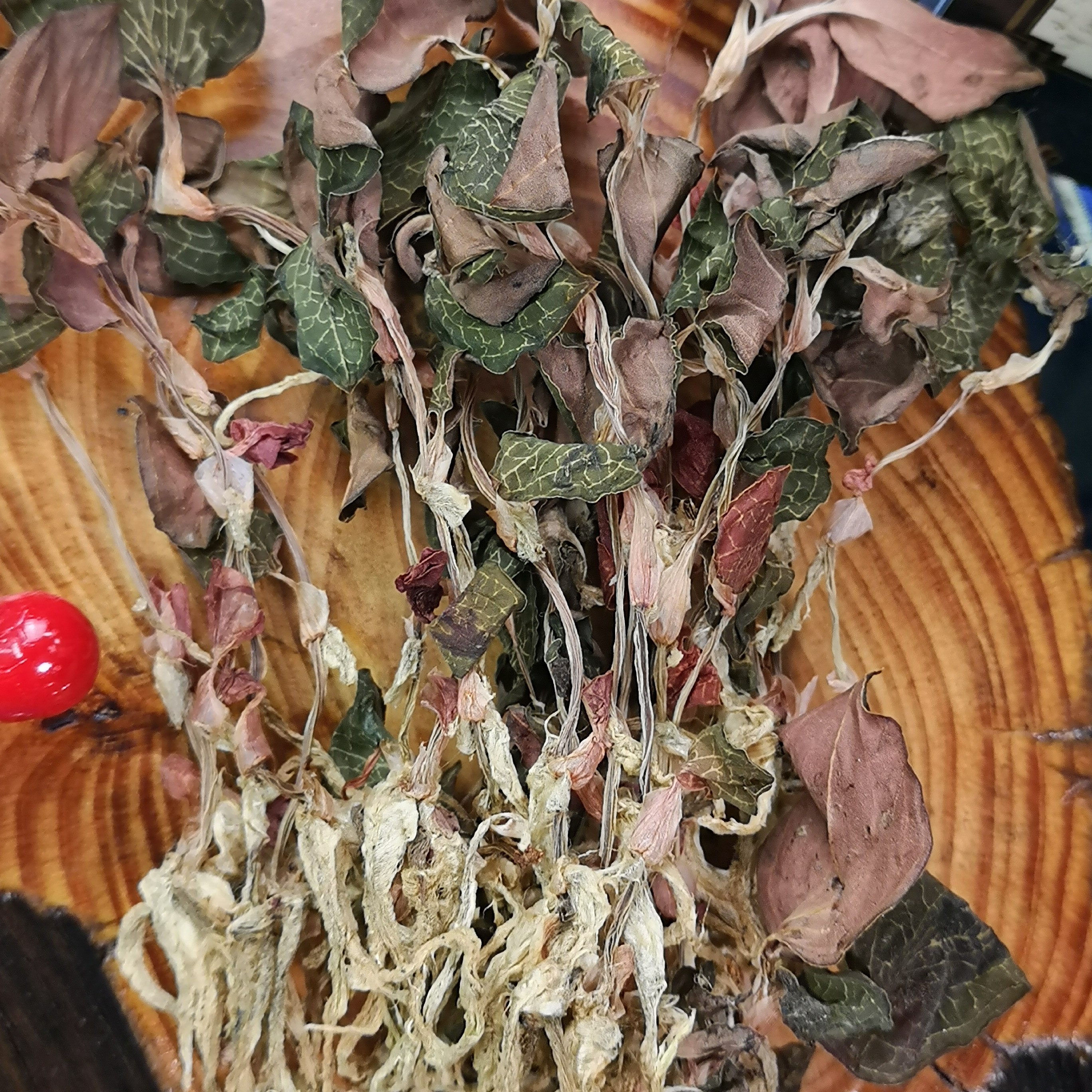 和泰隆 精选优质金线莲汤料 1-500克天然草本
