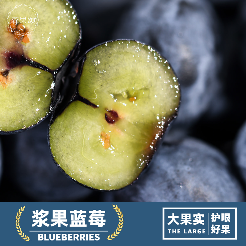 【森叔源选】当季限量蓝莓应季宝宝杯蓝莓60g盒酸甜【顺丰包邮】SP