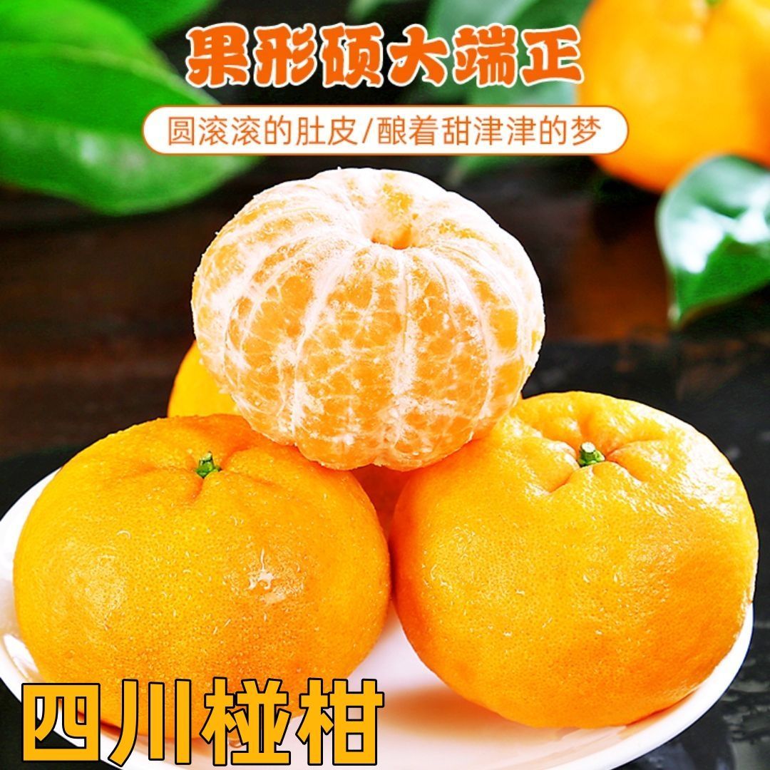 四川新鲜芦柑椪柑桔子水果丑柑橘子现摘现发应季酸甜孕妇新鲜水果