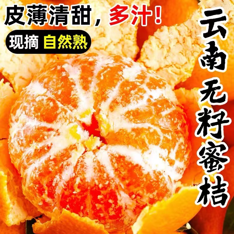 云南橘子蜜橘桔子蜜桔整箱新鲜孕妇水果当季薄皮无籽皮大果柑现摘