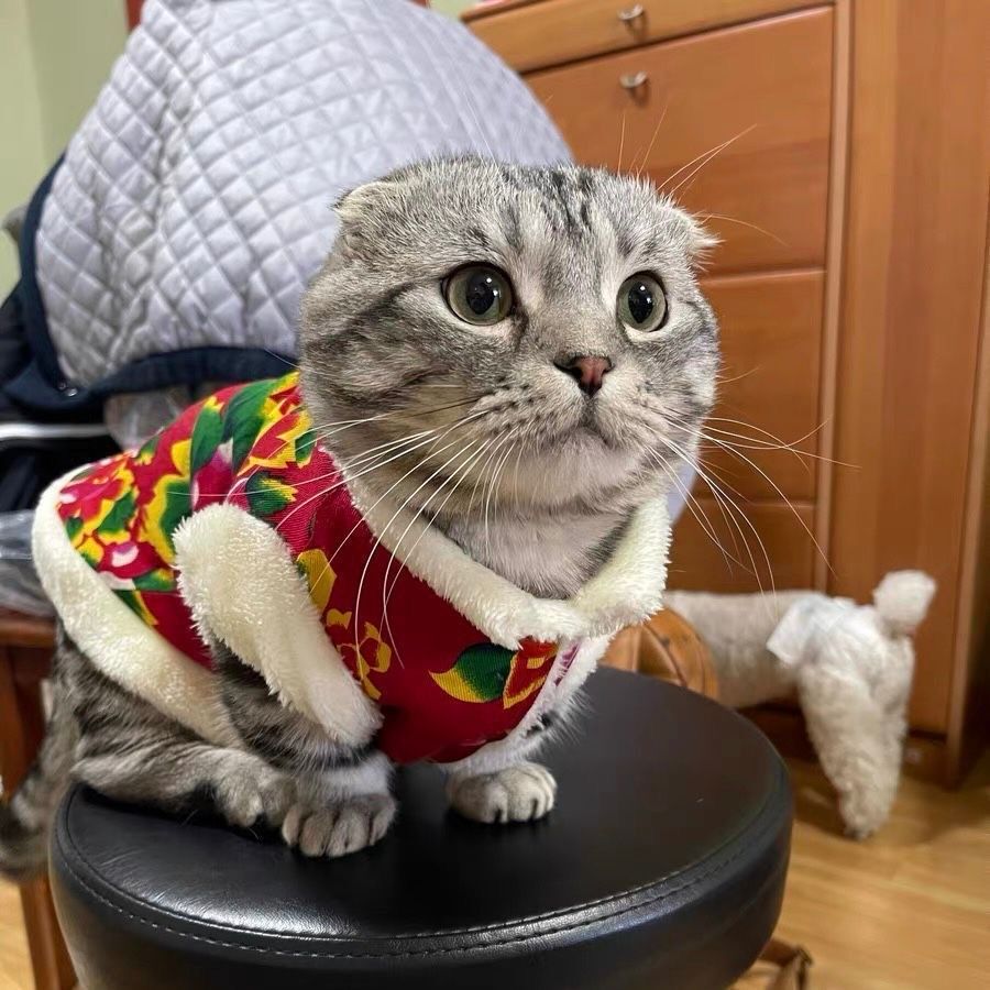 猫咪衣服秋冬季新年装泰迪东北大花袄加绒小背心幼猫宠物喜庆衣服