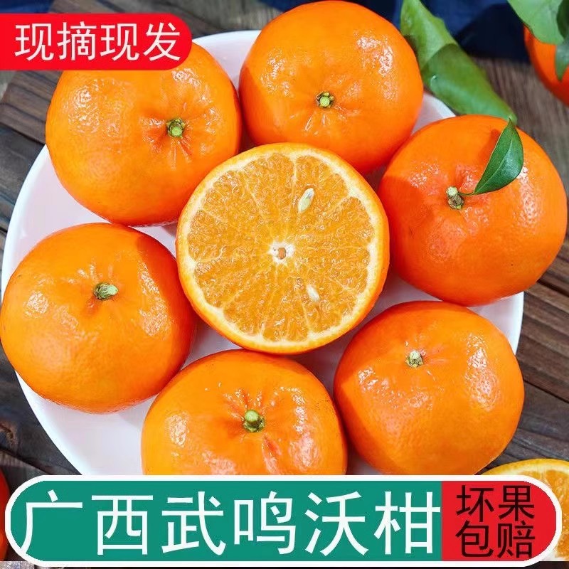 正宗广西武鸣沃柑5斤/9斤/3斤当季新鲜水果柑橘沃柑爆甜多汁
