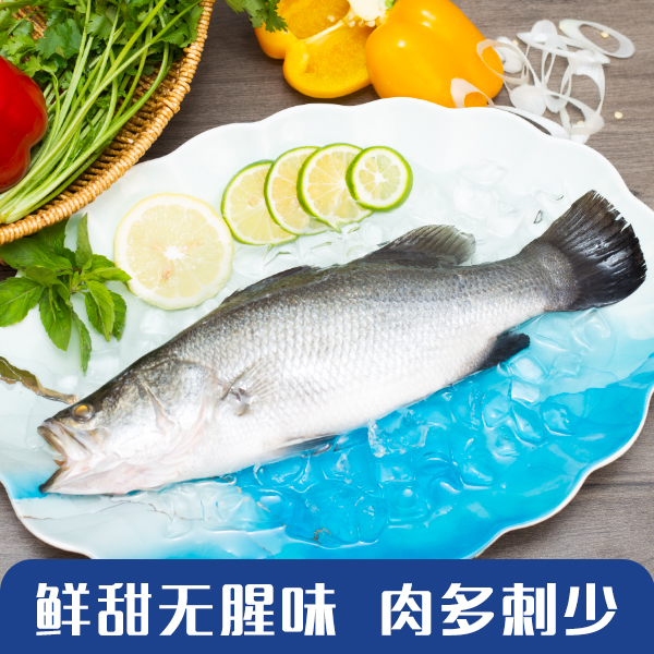 【粉丝发7条】净重300-400克每条白蕉海鲈鱼肉厚刺少蒸鱼冷藏