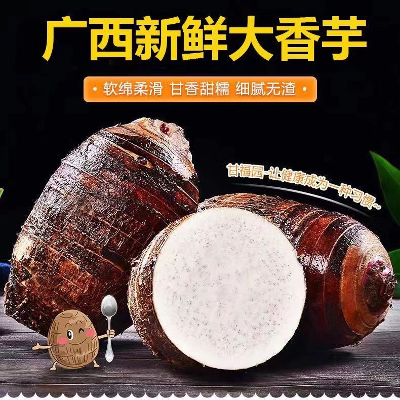 广西桂林荔浦正宗新鲜香芋头饱满香味口感浓郁农家种植坏果包赔