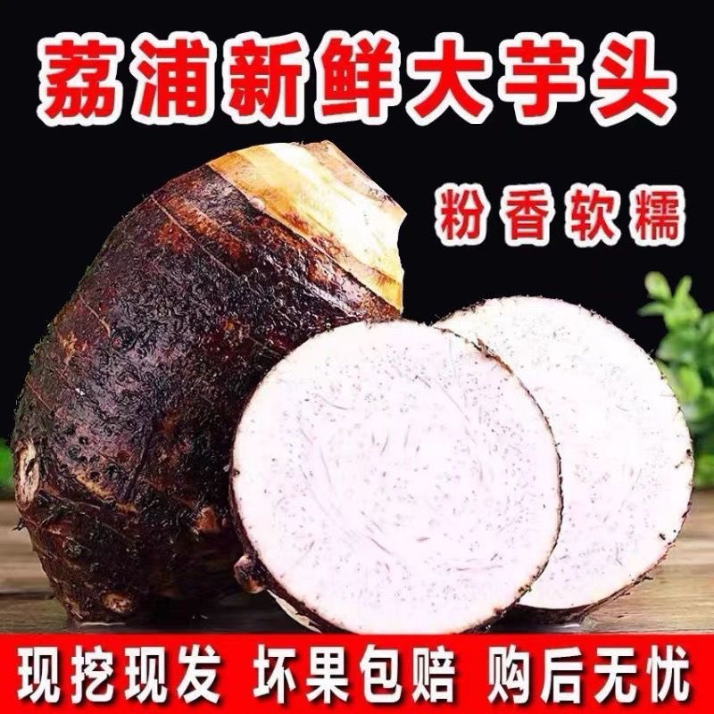 广西特产桂林槟榔芋头正宗荔浦种植产品新鲜农家坏果包赔