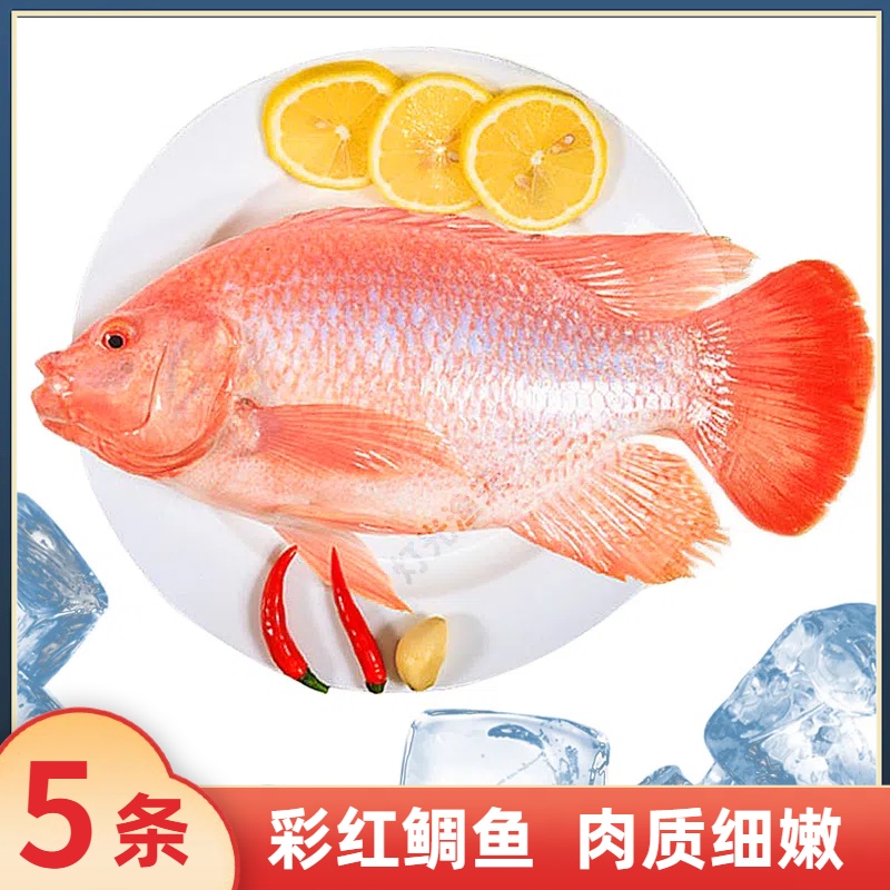 6斤5条彩红鲷鱼(代杀去肚) 杀后到手约5斤 速冻非活发 送2包豆豉