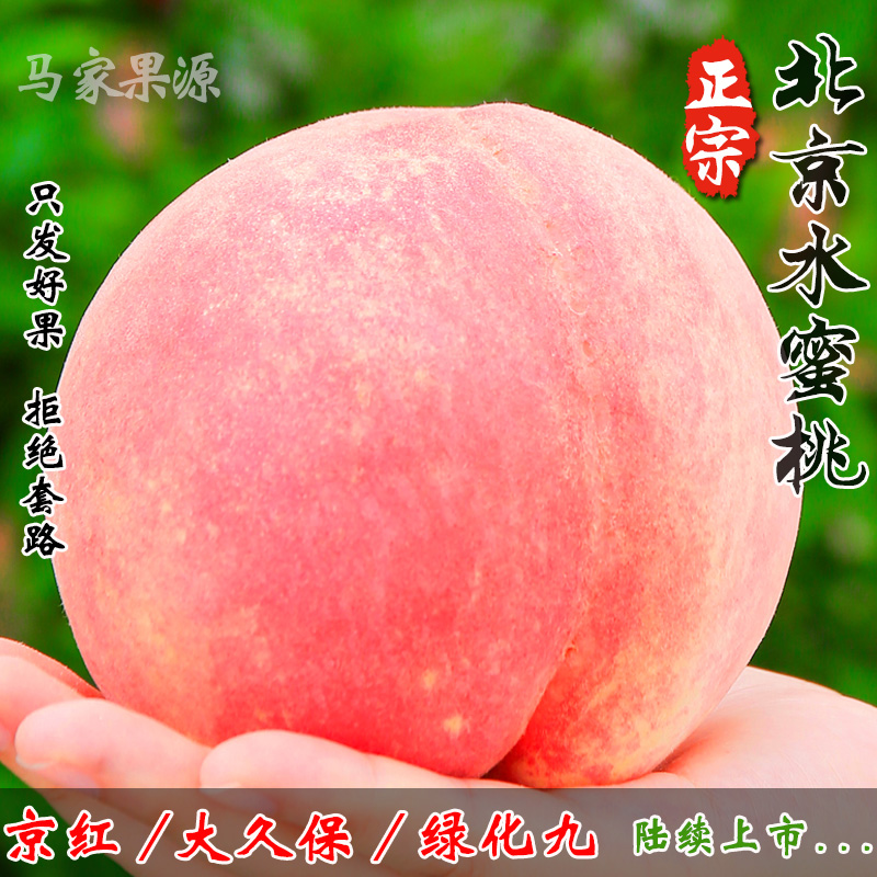 正宗北京平谷水蜜桃新鲜水果5斤桃子14号9号平谷久保大桃当季整箱